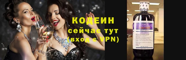 ECSTASY Богданович