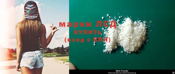 ECSTASY Богданович