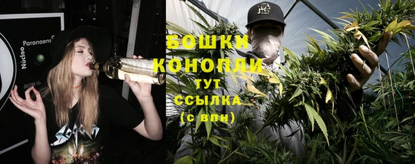 ECSTASY Богданович