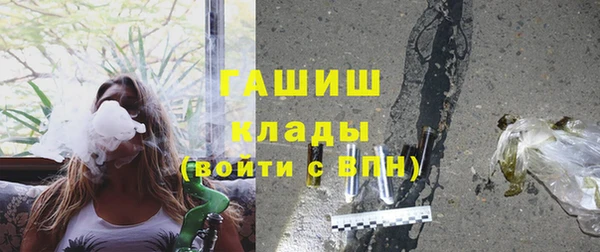 ECSTASY Богданович