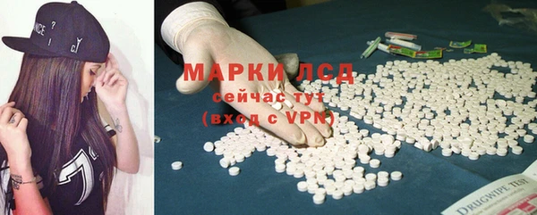 ECSTASY Богданович
