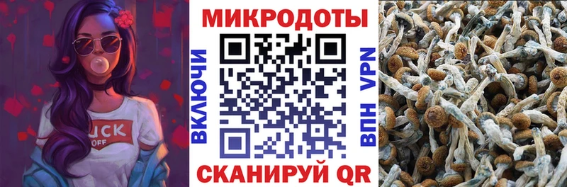 Галлюциногенные грибы прущие грибы  omg зеркало  Волжск 